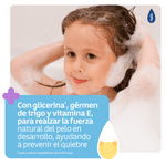 Secundaria