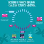 Secundaria