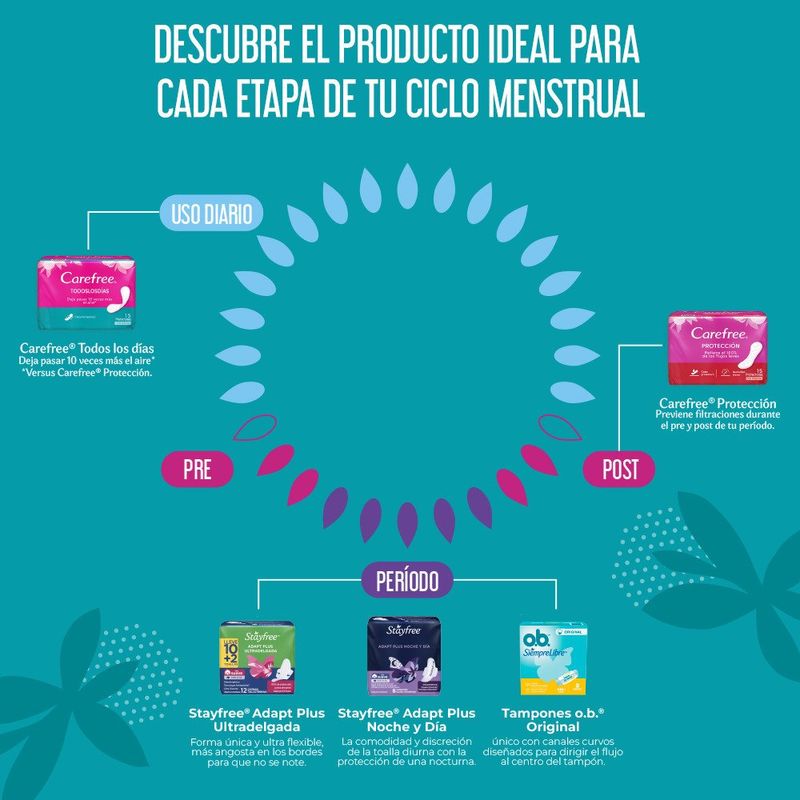 Secundaria